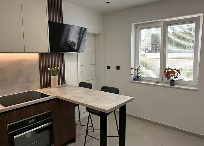 Plavi Val 3 Трибунь